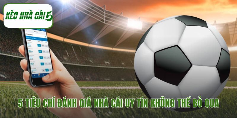 Những yếu tố xác định sân chơi chất lượng