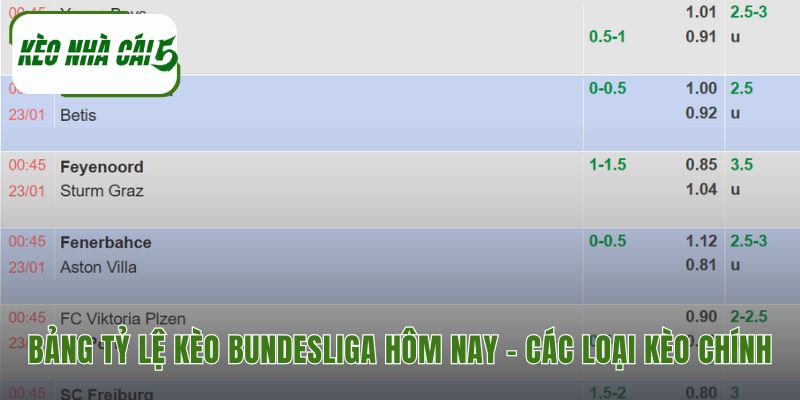 Tổng hợp mức cược giải bóng đá Đức