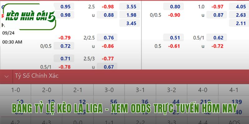 Tỷ lệ đặt cược giải vô địch tây ban nha trực tuyến