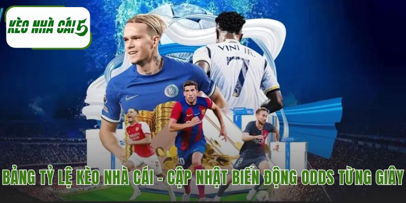 Bảng tỷ lệ Kèo Nhà Cái phản ánh biến động odds và dòng tiền