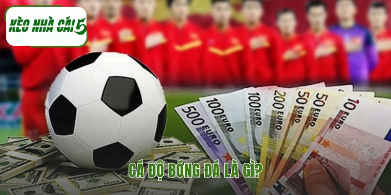 Cá độ bóng đá là gì giải thích quy trình cược và phân tích