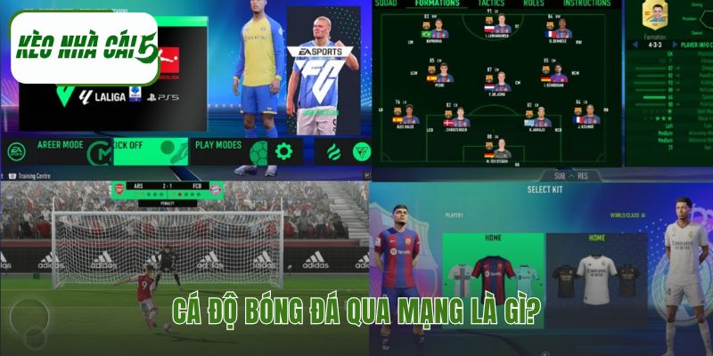 Cá độ bóng đá qua mạng giải thích phiên bản số hóa cược truyền thống