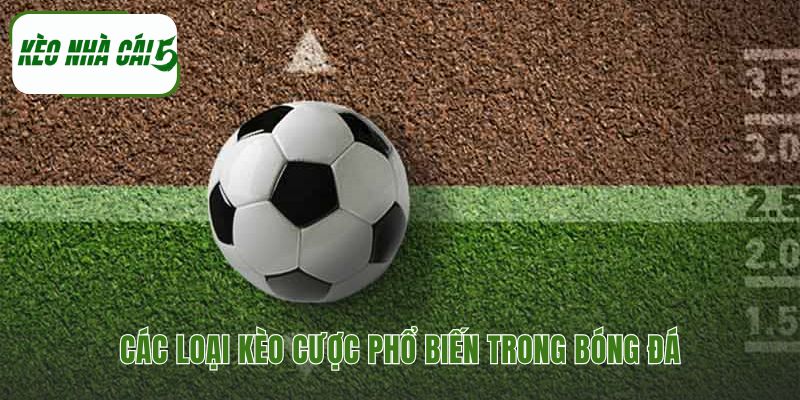 Ba loại kèo cược nền tảng cho người chơi mới bắt đầu