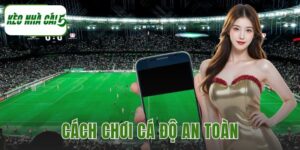 Cách Chơi Cá Độ An Toàn