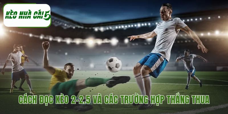 Hướng dẫn đọc kèo và các kịch bản thắng thua