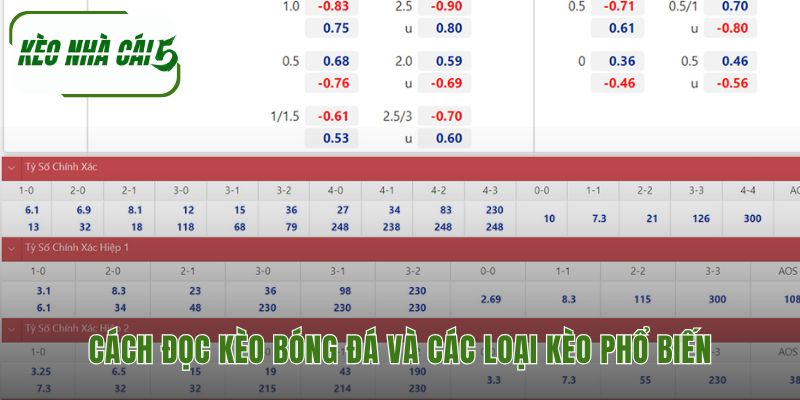 Đọc kèo bóng đá giải thích ba loại cược chính Á Âu Tài Xỉu