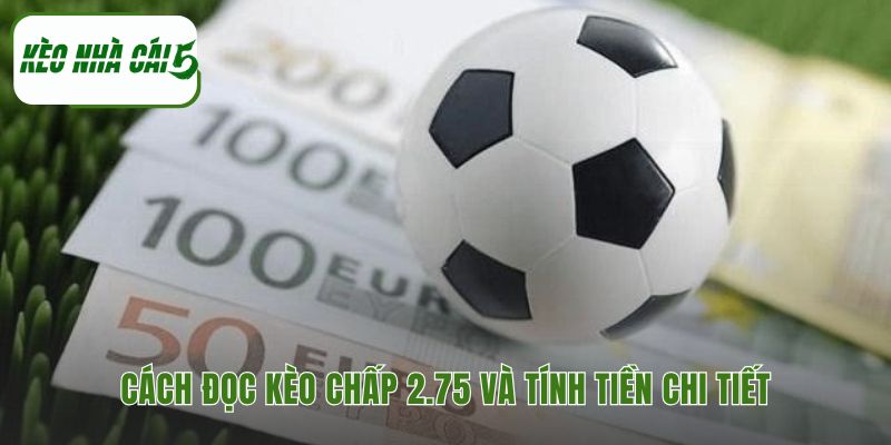 Hướng dẫn giải thích và tính tiền cược