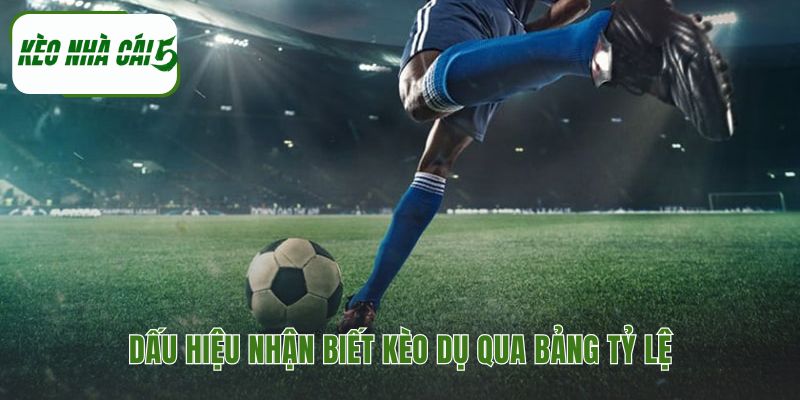 Bảng tỷ lệ cược chứa đựng cả cơ hội và cạm bẫy tiềm ẩn