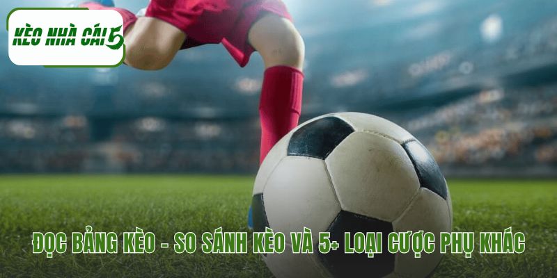 Cách xem bảng tỷ lệ các loại kèo bóng đá nhà cái