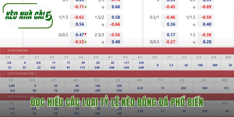 Giải mã các loại kèo là nền tảng của mọi phân tích