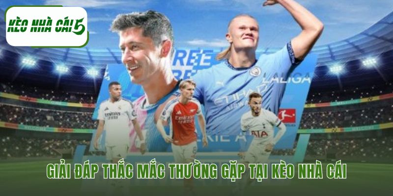 Phần giải đáp làm rõ các vấn đề về dữ liệu và tính minh bạch