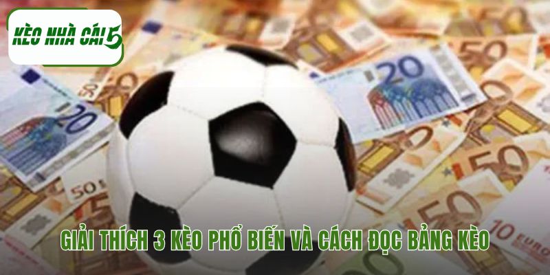 Tổng quan về các loại đặt cược thể thao bóng đá