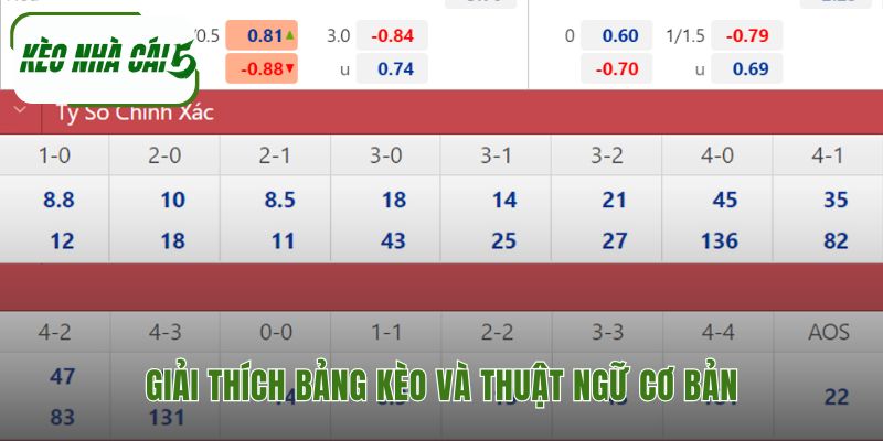 Đọc hiểu ba loại kèo chính là kỹ năng phân tích trận đấu hiệu quả.