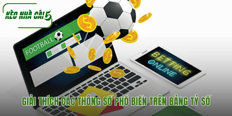 Ý nghĩa các chỉ số hiển thị