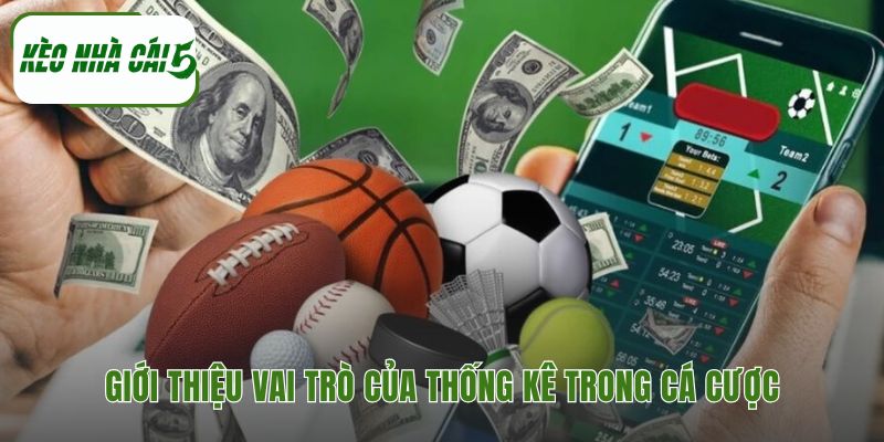 Tầm quan trọng của số liệu khi cá độ