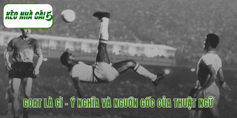 Thuật ngữ GOAT bắt nguồn từ huyền thoại Muhammad Ali