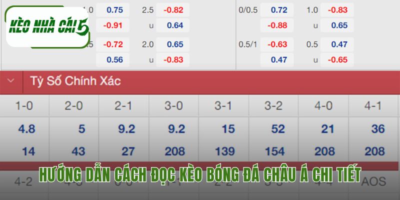 Cách đọc kèo bóng đá châu Á chi tiết qua từng tỷ lệ chấp