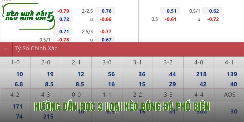 Đọc kèo bóng đá phổ biến giải mã ngôn ngữ từ nhà cái
