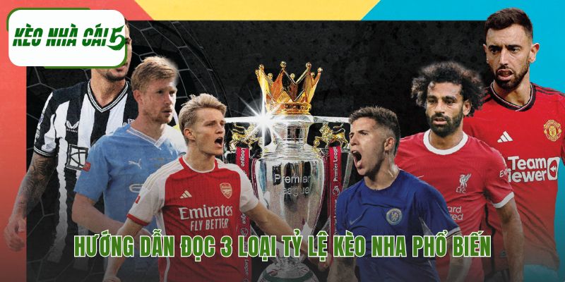 Cách xem các loại kèo cược thông dụng