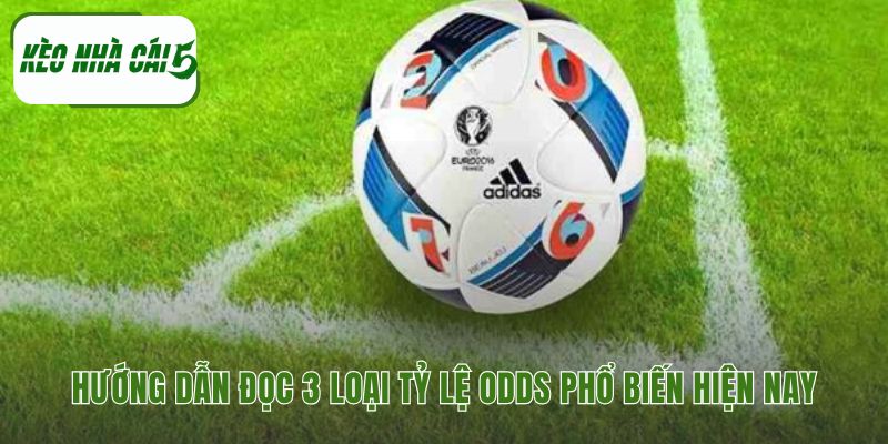 Ba loại odds phổ biến với cách đọc và tính tiền riêng