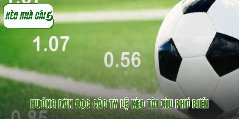 Cách đọc tỷ lệ kèo với những quy tắc tính thắng thua khác nhau
