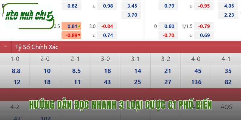 Cách xem các tỷ lệ cược thông dụng