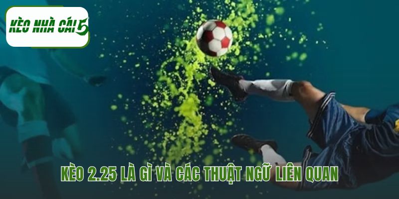 Giải thích định nghĩa và các thuật ngữ của kèo 2 1/4