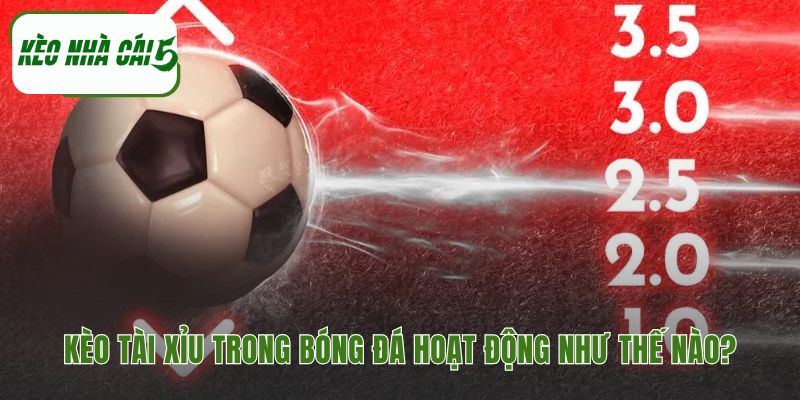 Hiểu cá độ tài xỉu là gì qua luật tính tổng bàn thắng 90 phút