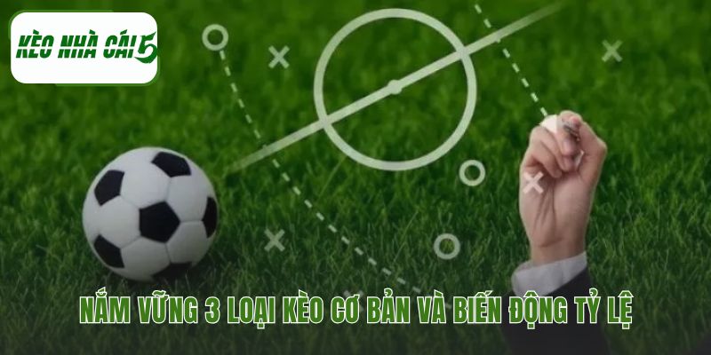 Tổng quan về các hình thức cá cược bóng đá