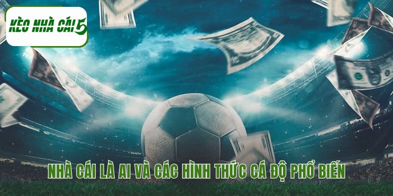 Cá độ bóng đá là gì cần hiểu rõ nhà cái và hình thức cược