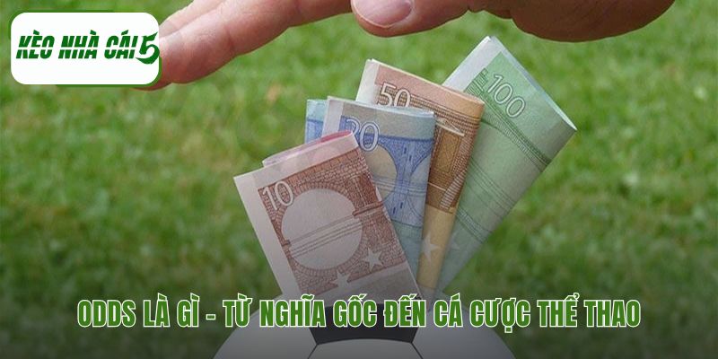 Odds là gì giải thích xác suất và cách tính tiền thưởng