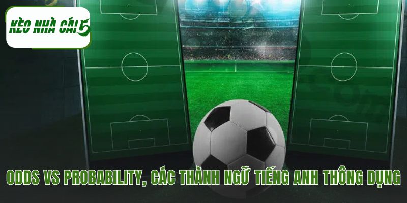 Hiểu odds là gì qua mối liên hệ mật thiết với xác suất