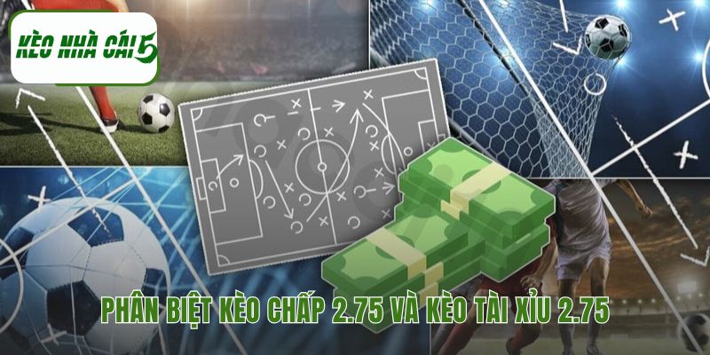 Sự khác nhau giữa kèo chấp và tài xỉu 2.75