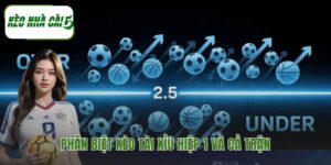 cách đọc kèo tài xỉu