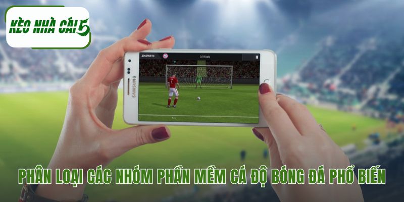 Phân loại các phần mềm trong cá độ bóng đá theo mục đích riêng