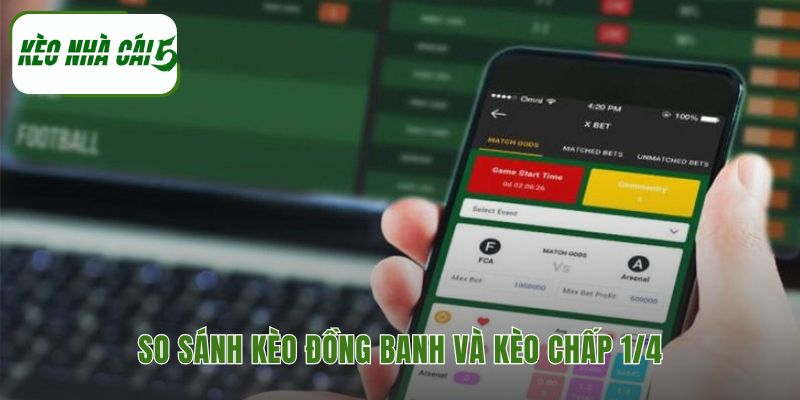 Phân biệt sự khác biệt cốt lõi giữa kèo 0 và kèo 0.25