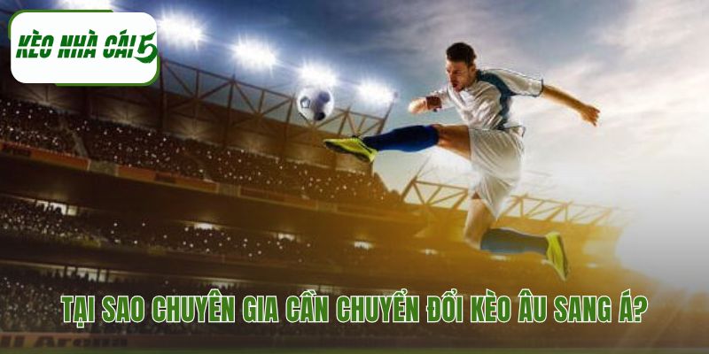 Cách chuyển đổi odds châu âu sang châu á tìm ra value bets